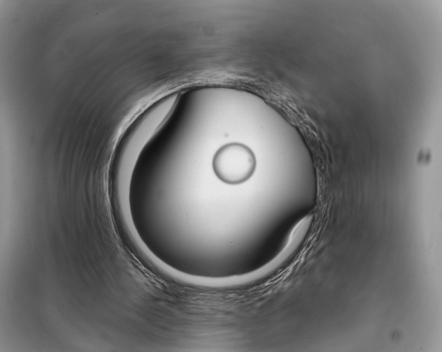 X0000098090244200805021052