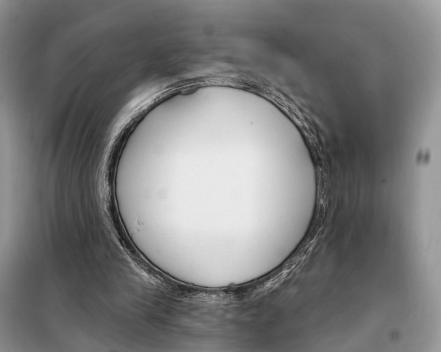 X0000098090245200805021052