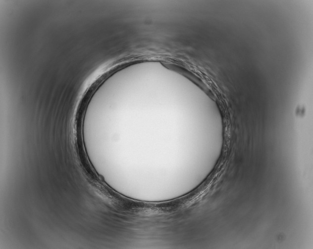 X0000098090246200805021052