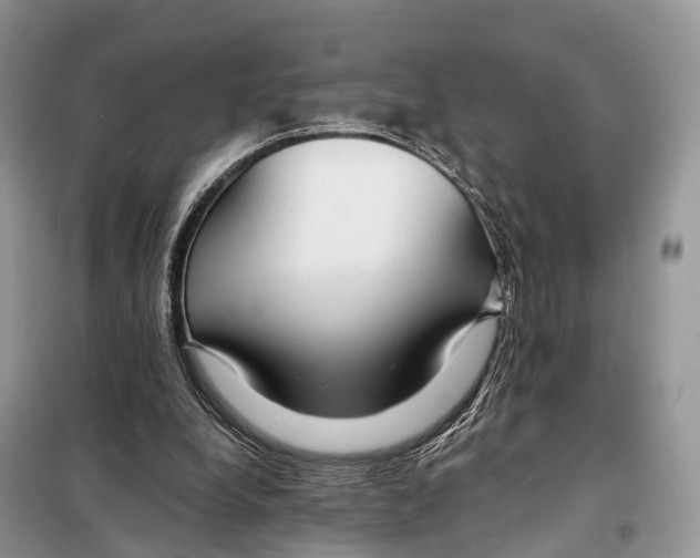 X0000098090248200805021052