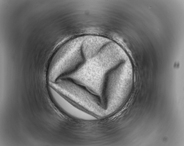 X0000098090249200805021052