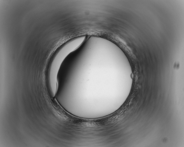 X0000098090250200805021052