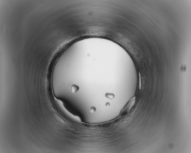 X0000098090252200805021052