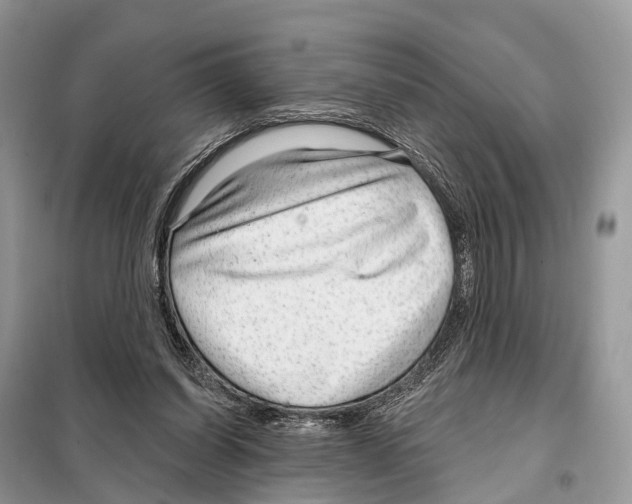 X0000098090254200805021052