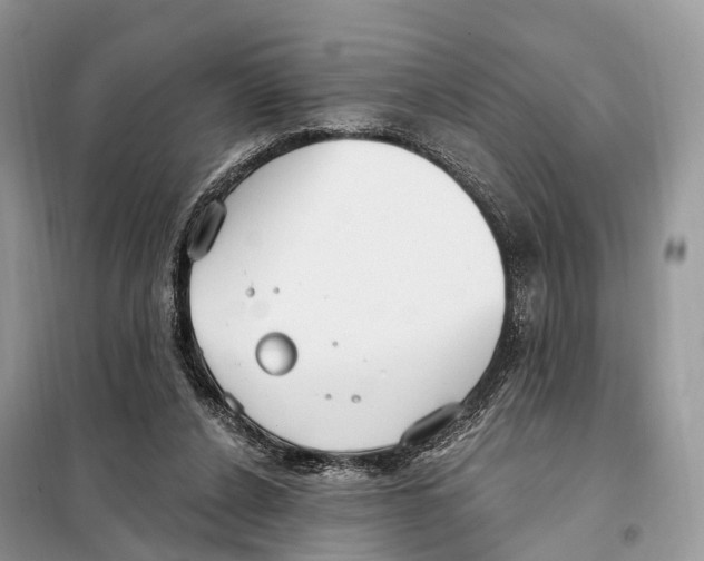 X0000098090256200805021052