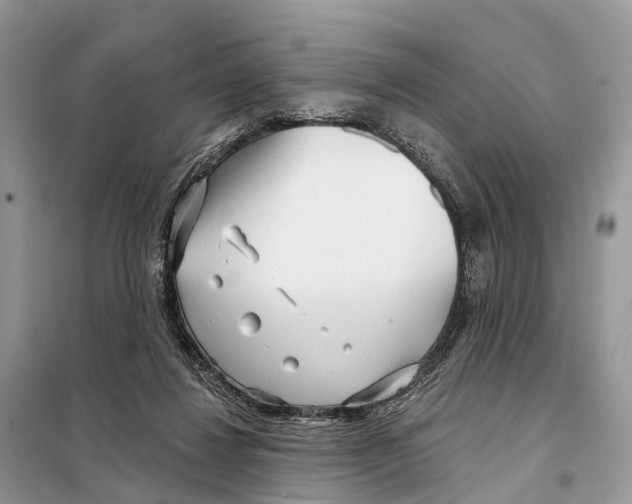 X0000098090260200805021053