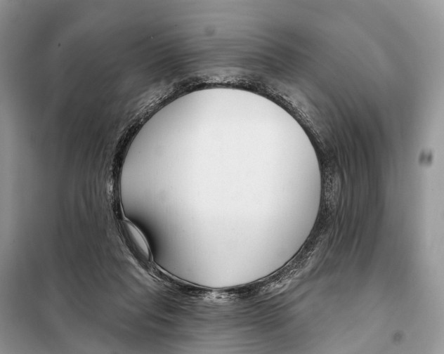 X0000098090261200805021053