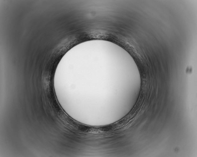 X0000098090263200805021053