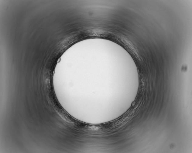 X0000098090265200805021053