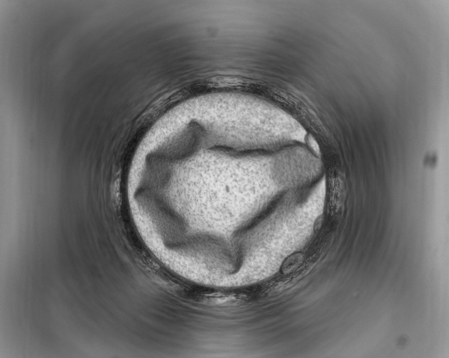 X0000098090267200805021053