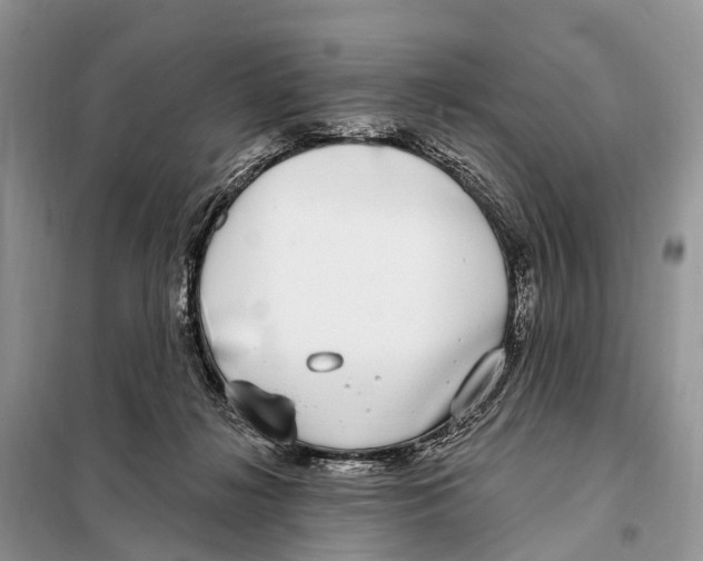 X0000098090268200805021053