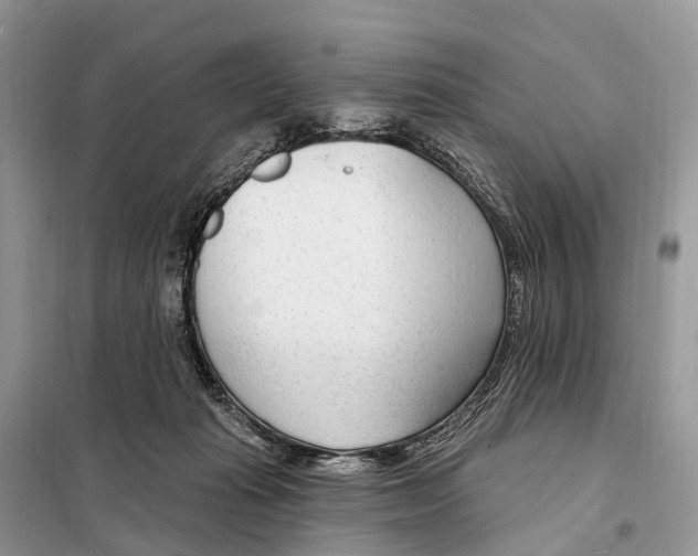 X0000098090269200805021053