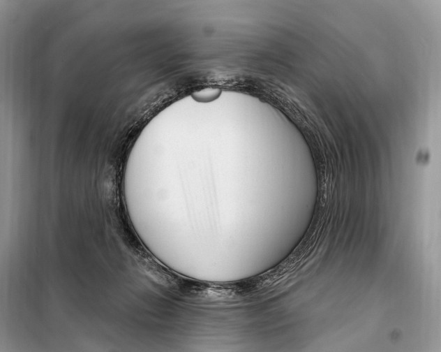 X0000098090270200805021053