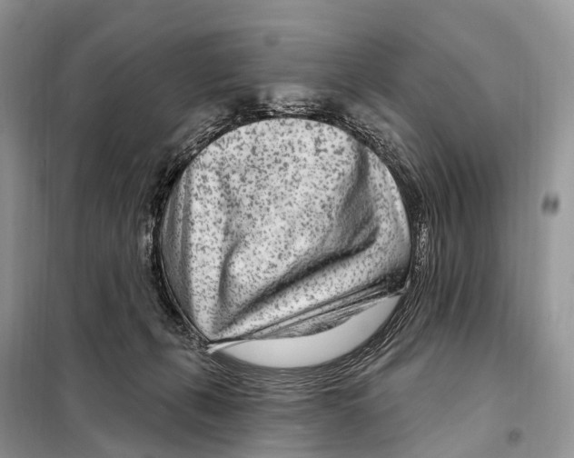 X0000098090271200805021053