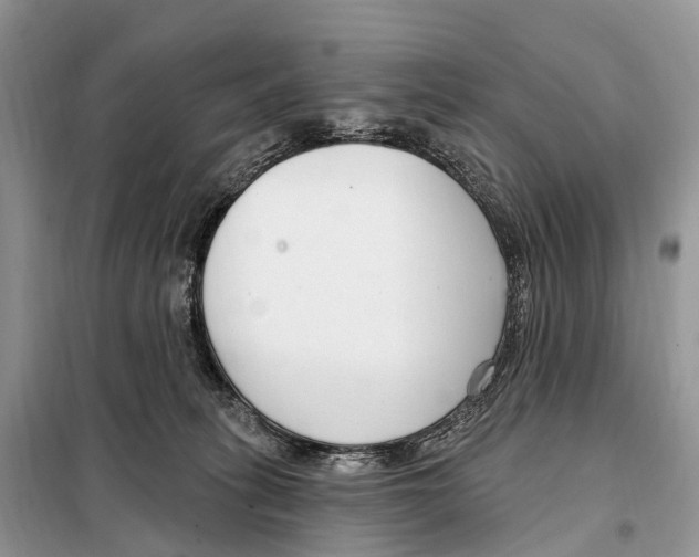 X0000098090275200805021053