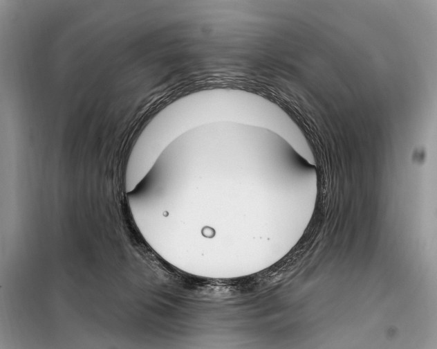 X0000098090276200805021053