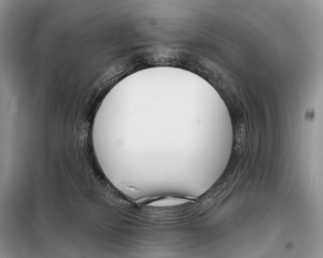 X0000098090278200805021053