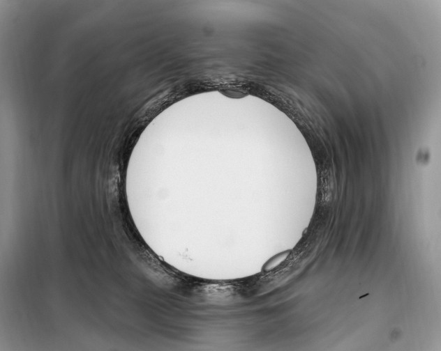 X0000098090279200805021053