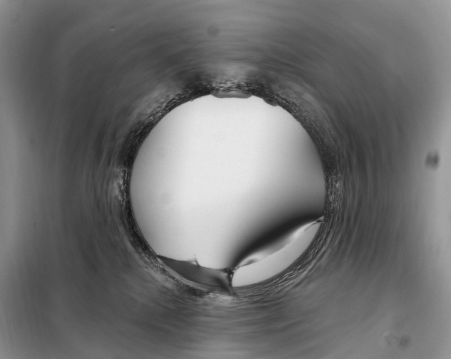 X0000098090280200805021053