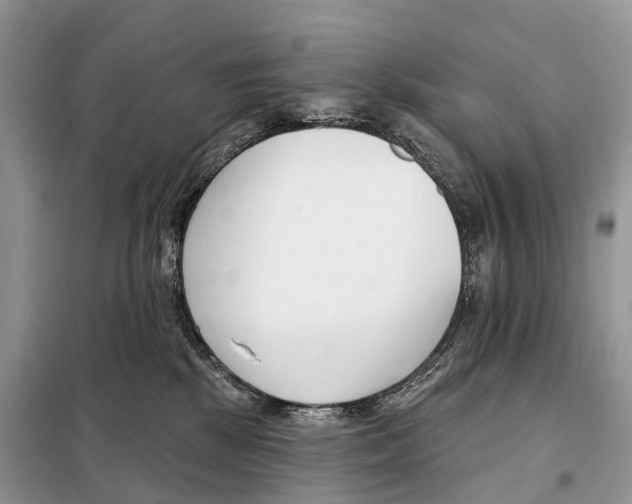 X0000098090281200805021053