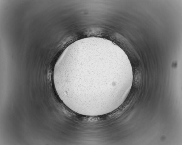 X0000098090282200805021053