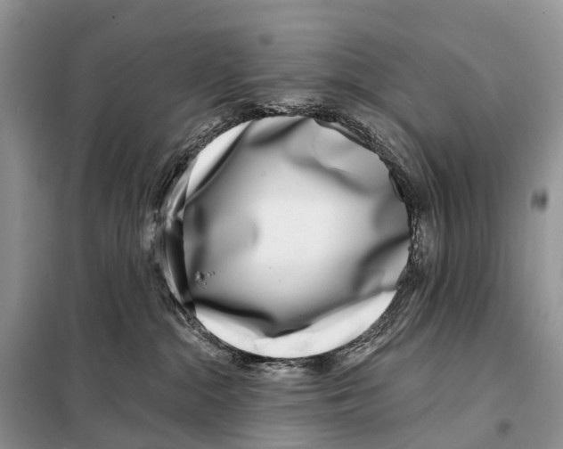 X0000098090284200805021053