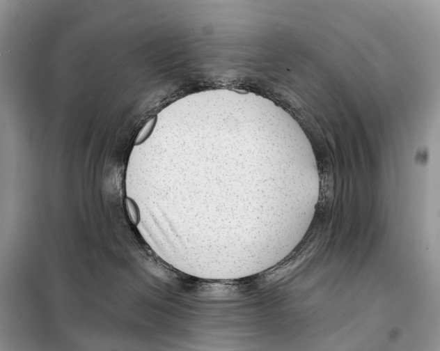 X0000098090286200805021053