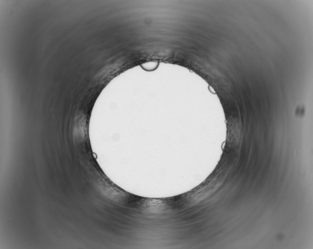 X0000098090287200805021053