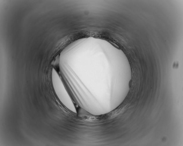 X0000098090288200805021053