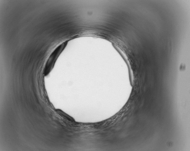 X0000098090289200805021052