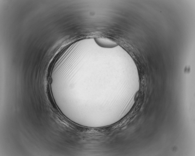 X0000098090290200805021052