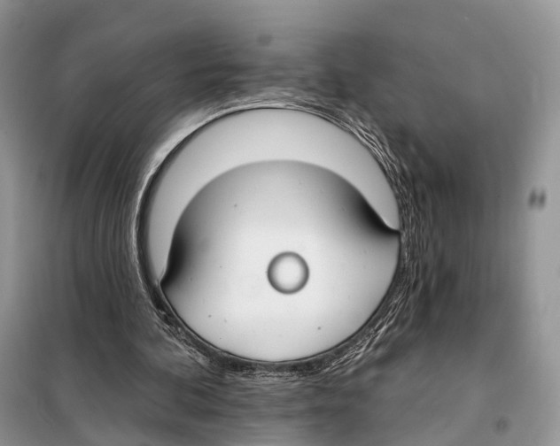 X0000098090292200805021052