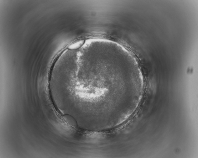 X0000098090293200805021052