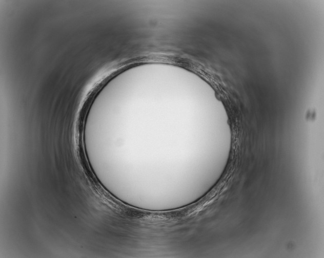 X0000098090294200805021052