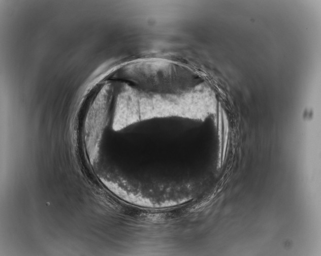 X0000098090295200805021052