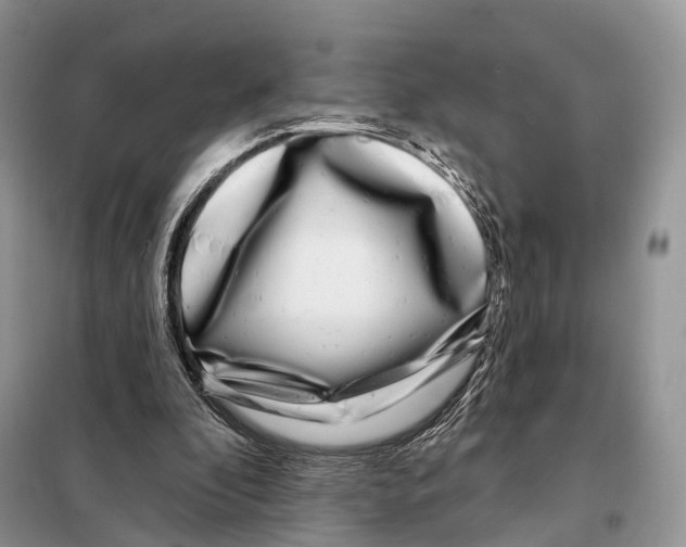 X0000098090296200805021052