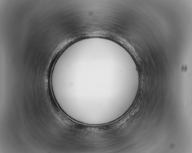 X0000098090298200805021052