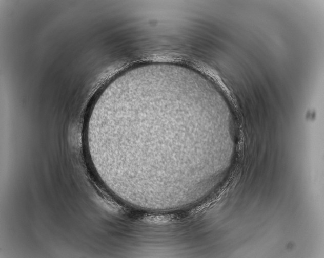 X0000098090299200805021052