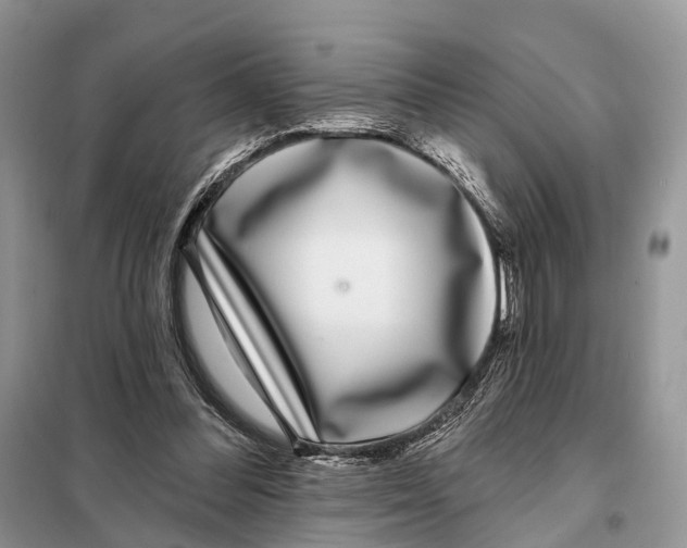 X0000098090300200805021052