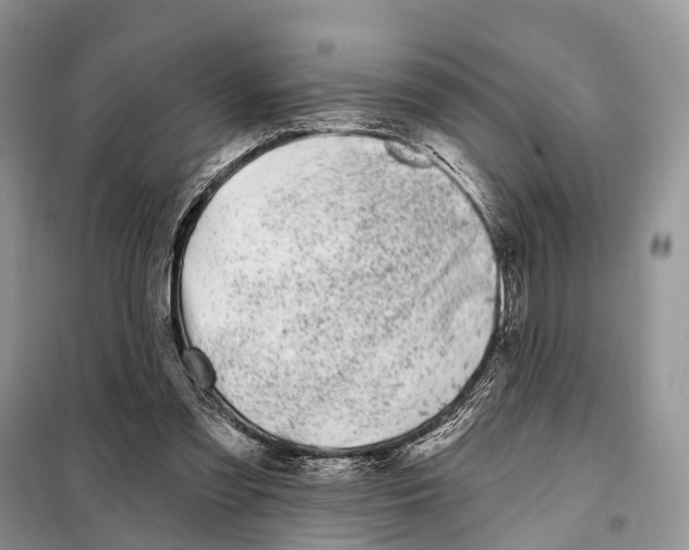 X0000098090301200805021052