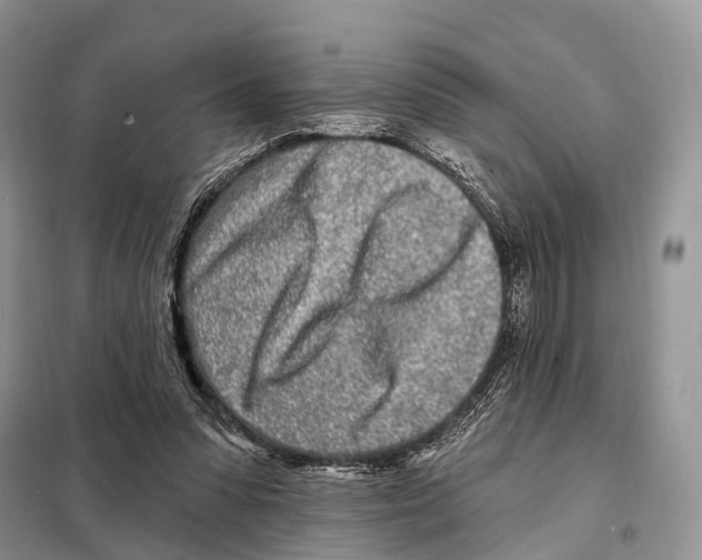 X0000098090303200805021052