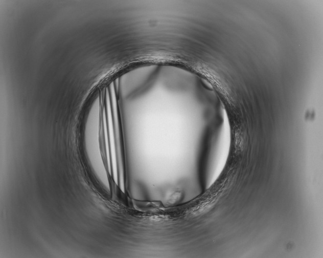 X0000098090304200805021052