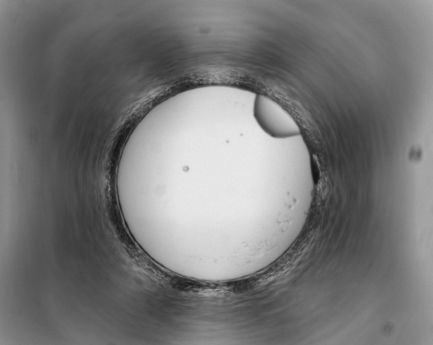 X0000098090306200805021052