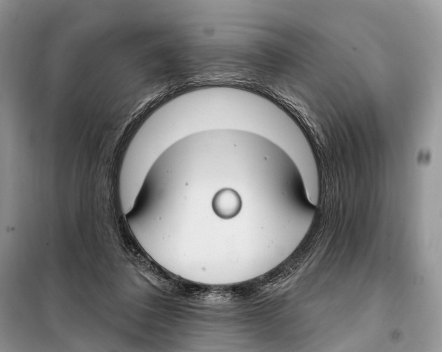 X0000098090308200805021052