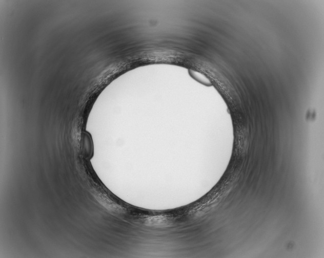 X0000098090309200805021052