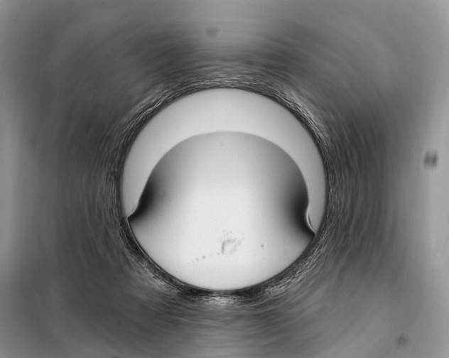 X0000098090313200805021052