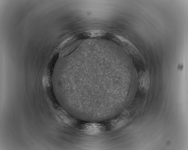 X0000098090316200805021052