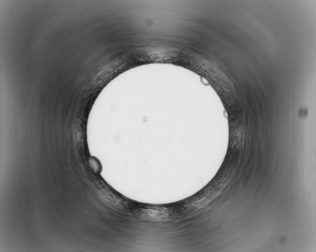 X0000098090317200805021052