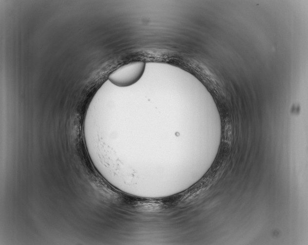 X0000098090318200805021052