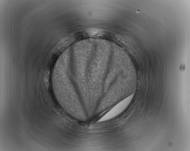 X0000098090319200805021052